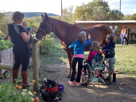 What exactly is Therapeutic Riding?