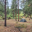 Camp-out at Rooted Stone Acres!