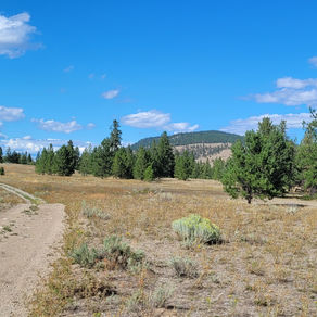 A little Riding 4 Life history