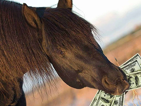 Why are lessons so expensive?