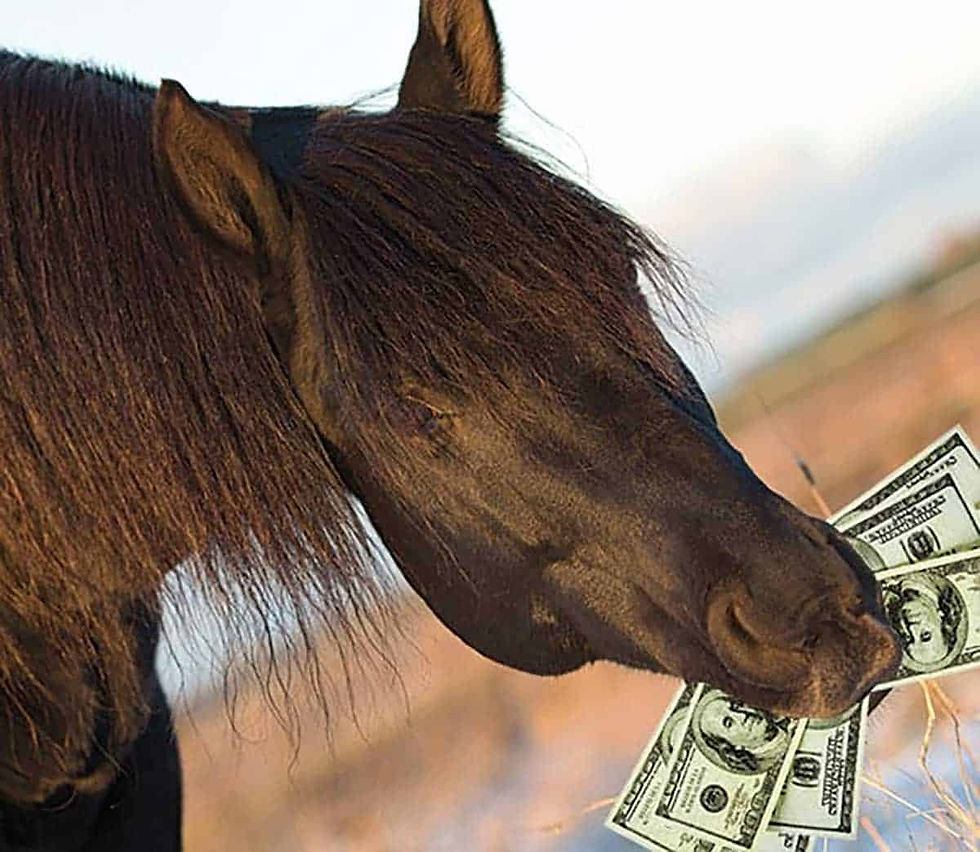 Why are lessons so expensive?