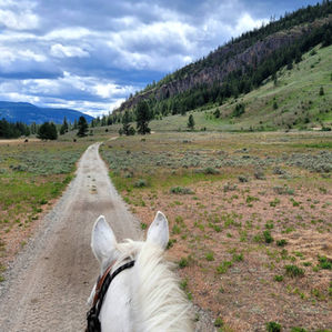 Sunday Trail Rides