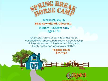Spring Break Camps!