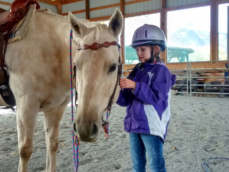 How much does a horse cost anyway?