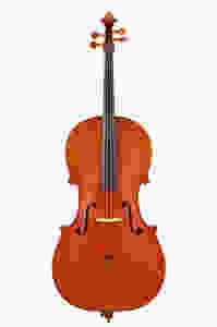Frank Ravatin cello, 2014
