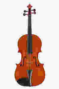 Mario Miralles viola 2012 .jpeg