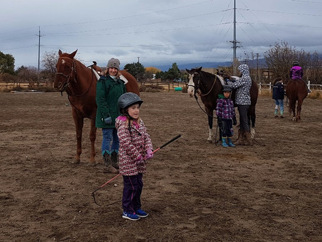 Great First Year of Discover Horses!