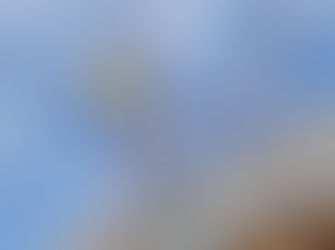 כננת רצפה באתרי בניה