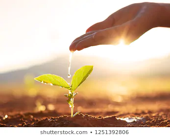 hand-nurturing-watering-young-baby-260nw-1251392806 (1).webp