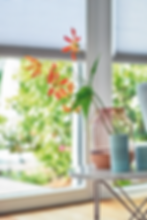 bilde_duette_interiør_med_blomst