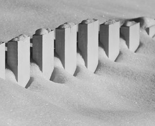 DSC_0677.jpeg