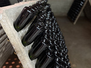 A Chance Encounter: Caves Joan Bunó Pons in Penedès, Spain