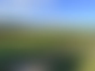 Unexpected Paths: How a Post Brought Us to Finca Mas Perdut