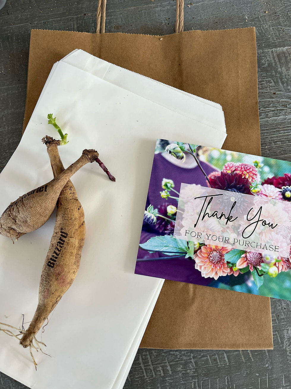 Thumbnail: Megan's Favorites (Tuber Bundle)