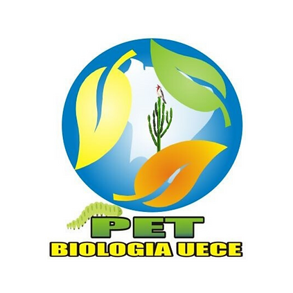 Design sem nome.png