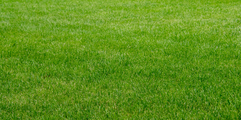 Individual Registration