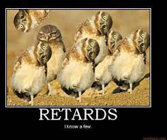 Owl meme