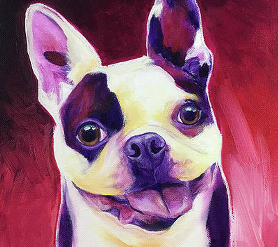 boston-terrier-abigail-dawgart.jpg