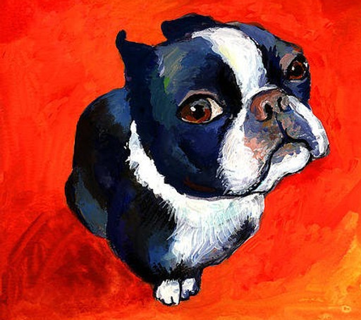 boston-terrier-dog-painting-prints-svetlana-novikova_edited.jpg