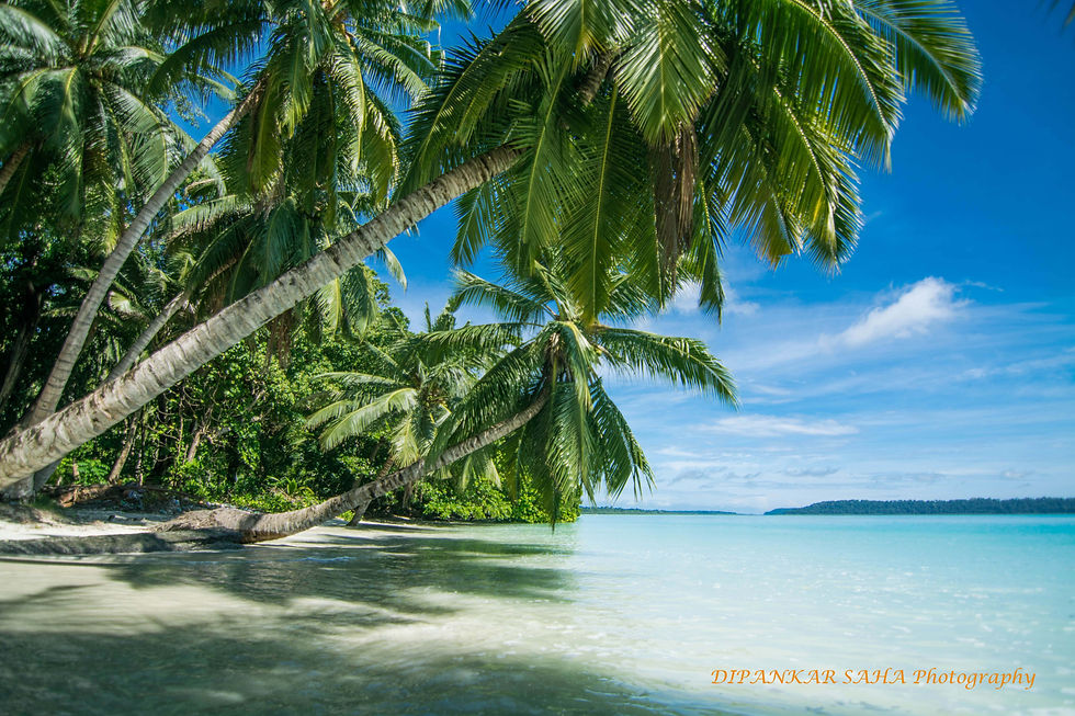 Awesome Andaman , India