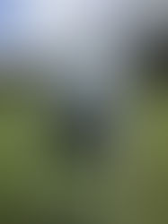 The Mirror Is A Golfer's Best Friend