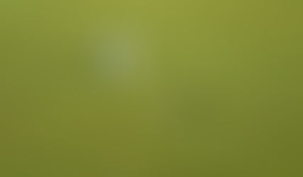                         Always Putt Out During Practice