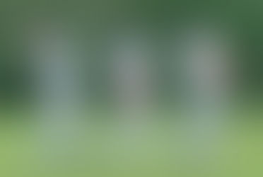               Looking At The Back Of The Ball Is Key