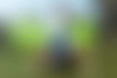                How To Train Your Swing In The Gym