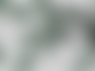 NÄITUS „Selgepiirilise vormi möödalask“