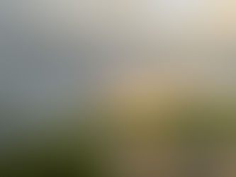 Kris Lemsalu „Inglid läksid pissile”