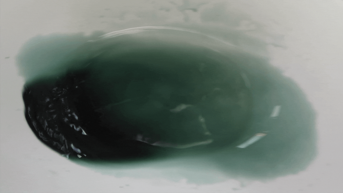 elsa-lamartina-ho-creato-l-oceano-8.gif