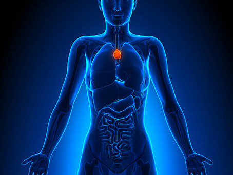 Se tapoter le thymus !