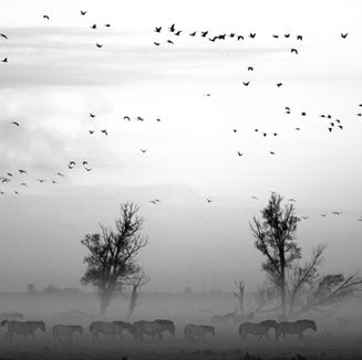 Landscape with Animals