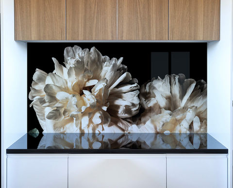 Peony splashback
