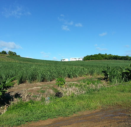 20121201_150526 5.jpg