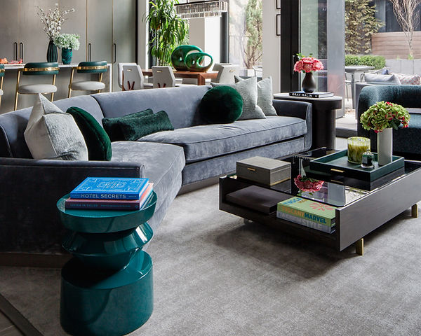 The High Line NYC interior designer luxury living room design