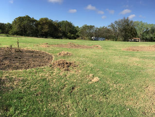 Kemp Butterfly Garden Construction
