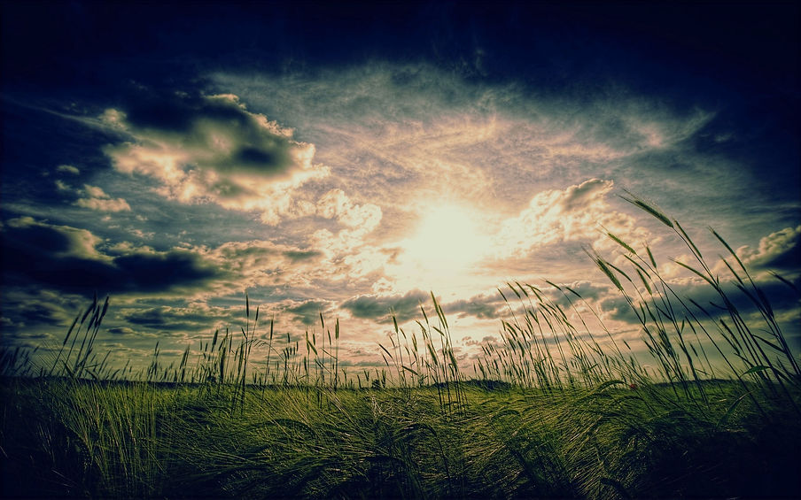 landscapes-nature-vintage-cornfield-cross-process_edited.jpg