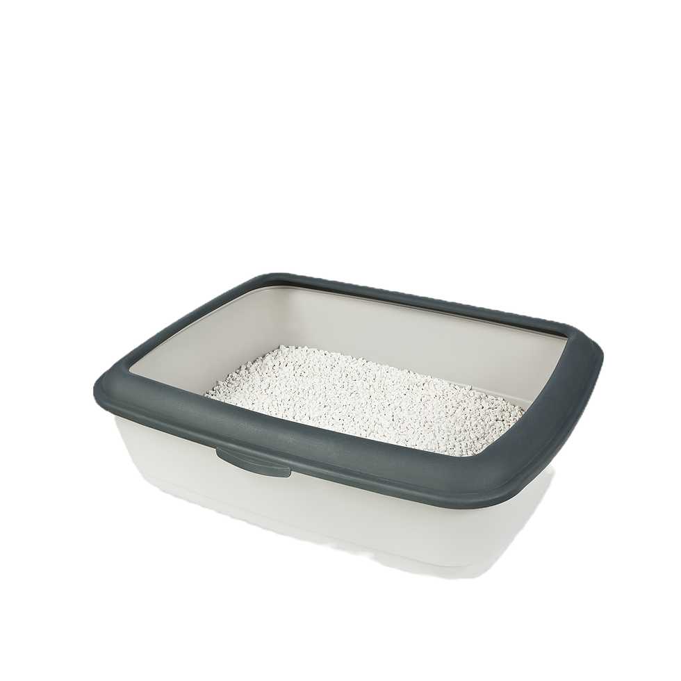 Кошачий ящик для мусора