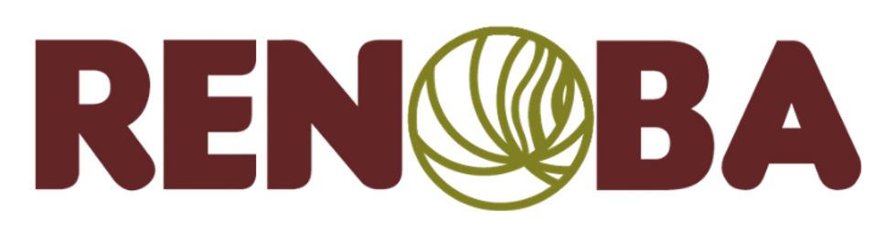 PORTAFOLIO FINAL - BM190949.png