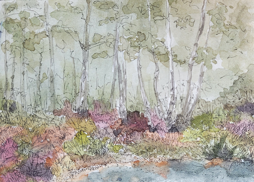 ABP_Alison McEvoy_Bog Walk.png