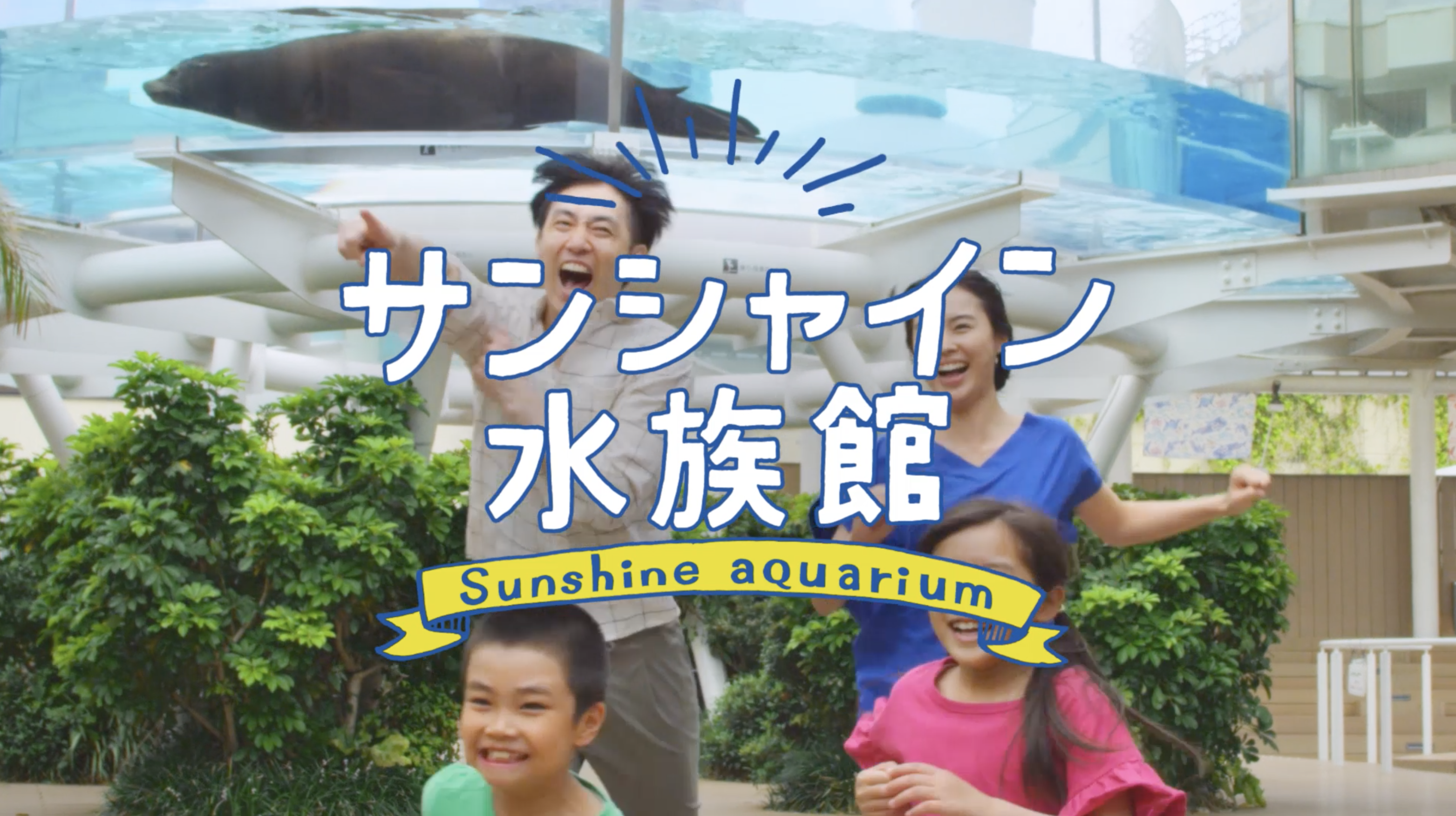 サンシャイン水族館 CM 生き物と思い出 編
