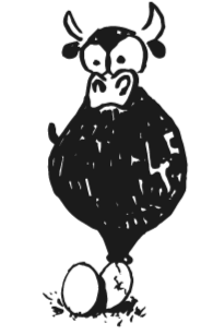 Vache d'hérens, animal emblématique de notre exploitation agricole