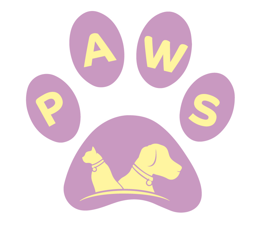 pawsmiami Dog Boarding Miami