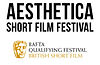 Aesthetica Film Festival (Aestetica Shor