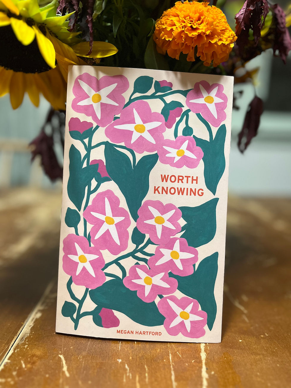 Worth Knowing Paperback Megan Hartford