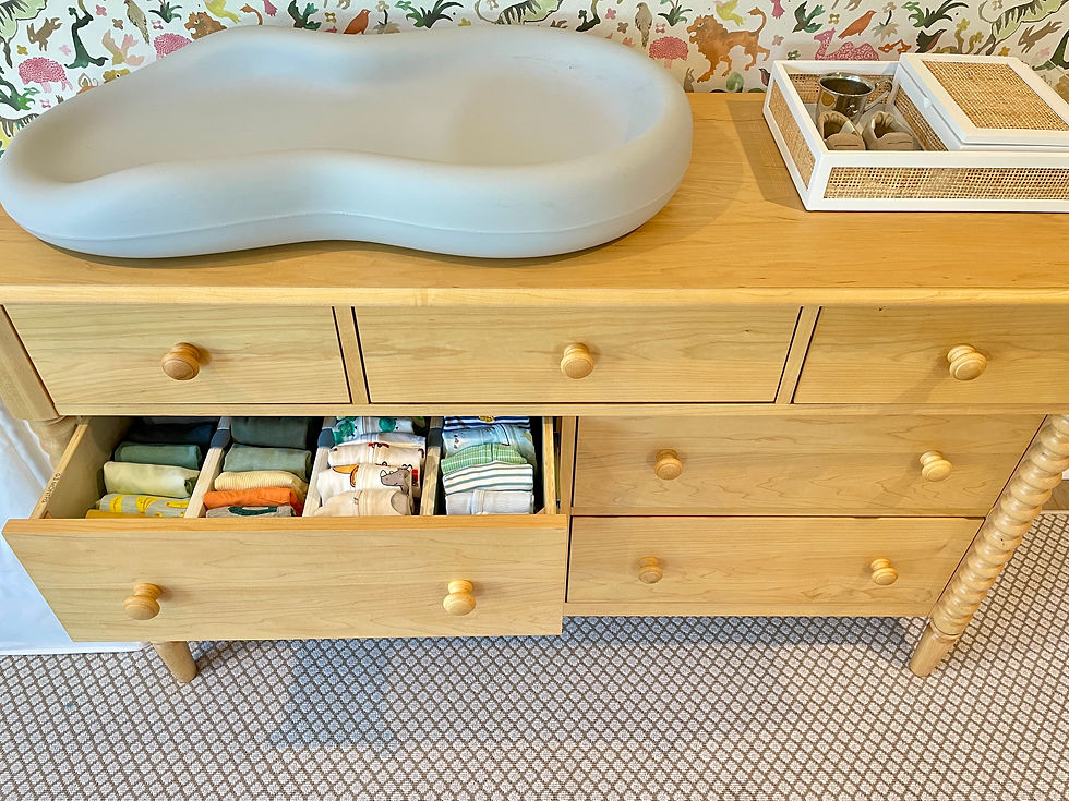 Luxury baby organizer in Houston