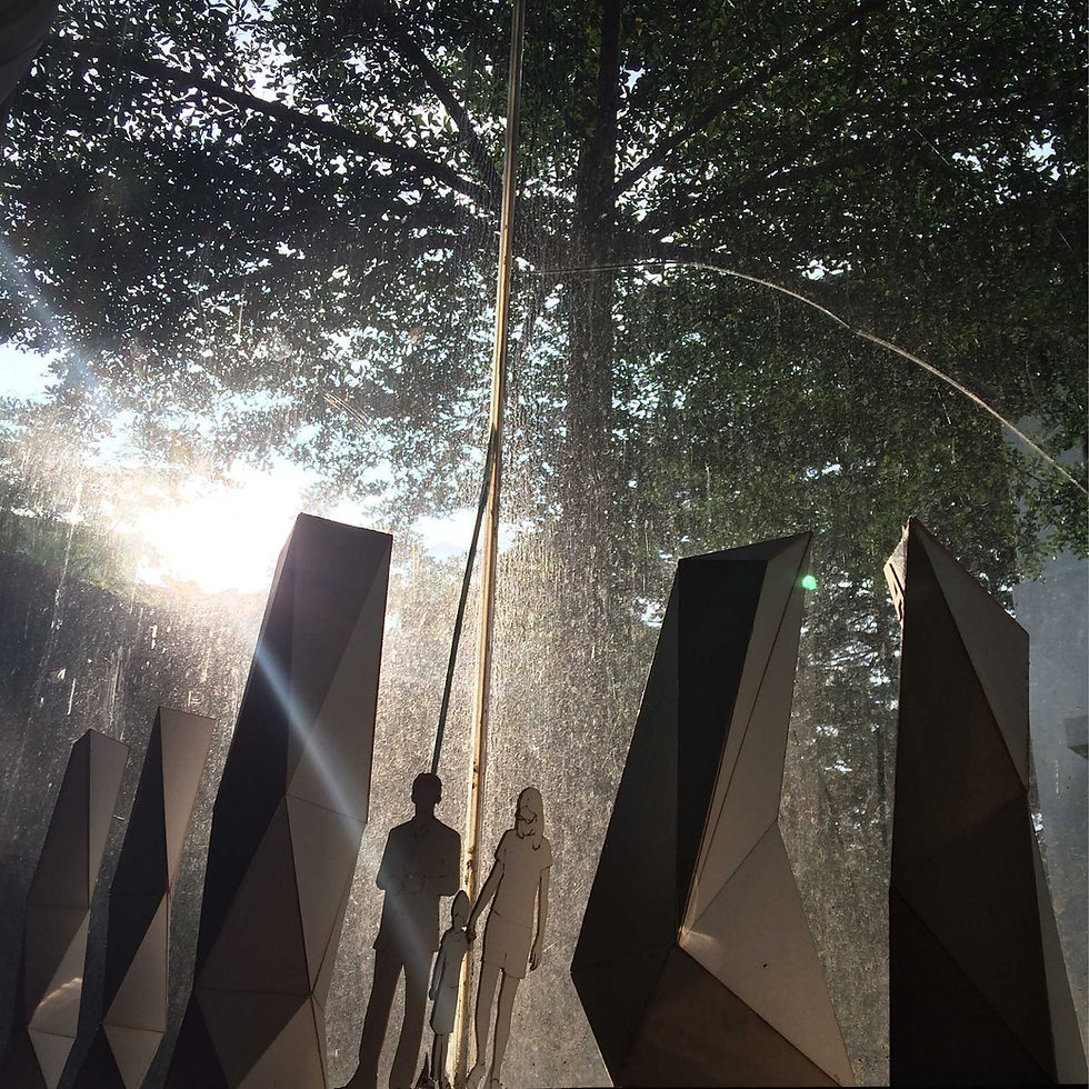 afternoon sunlight
