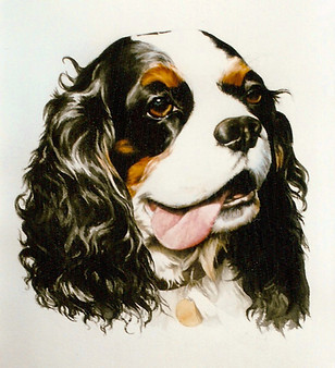 King Charles.jpg
