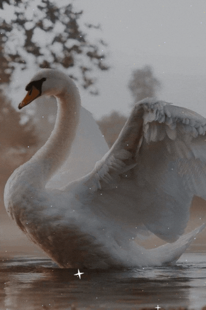 ABA PERSONA TRÊS (3).gif